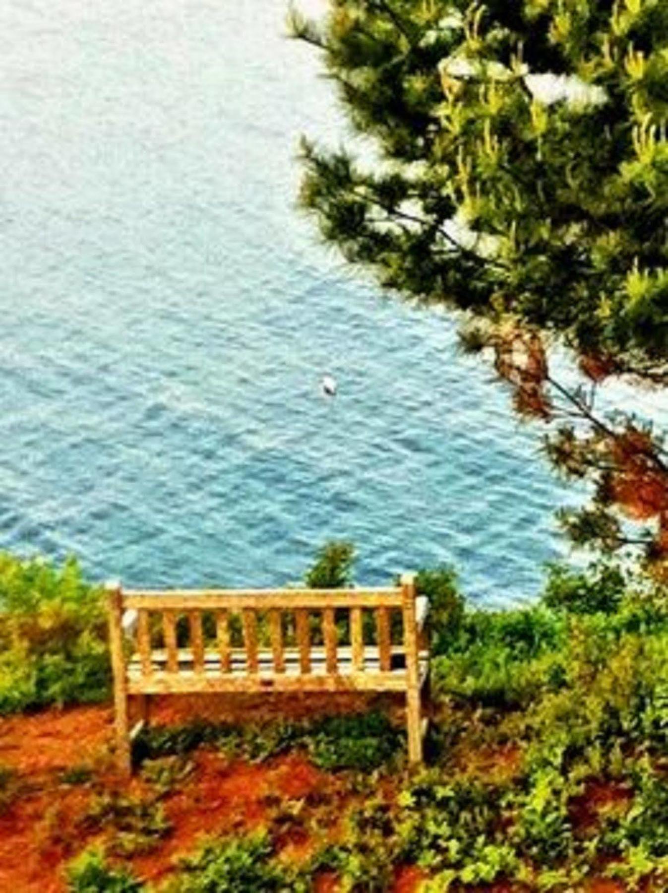 Grey Havens Inn Georgetown Dış mekan fotoğraf